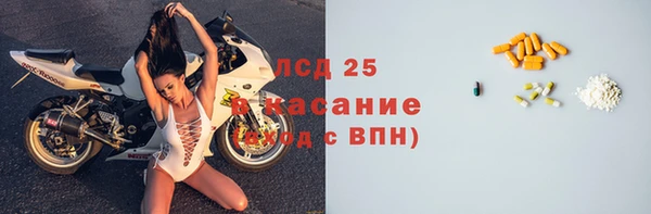 стафф Осинники