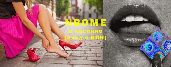 стафф Осинники