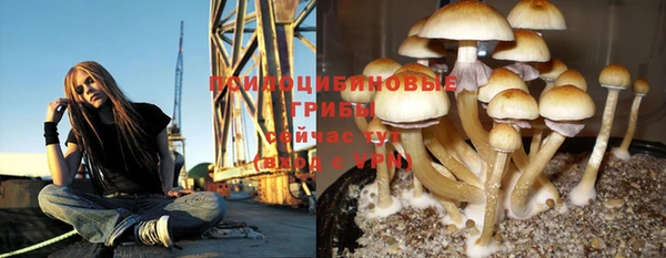 ALPHA-PVP Остров