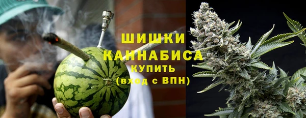 стафф Осинники
