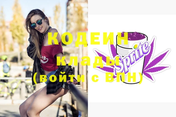 стафф Осинники
