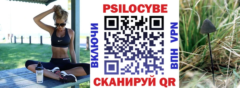 Псилоцибиновые грибы Psilocybe  hydra как зайти  Руза  магазин продажи наркотиков 